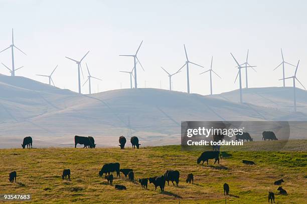 cattle and wind power in california - wind turbine california stock pictures, royalty-free photos & images