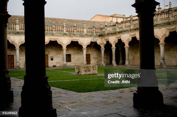 Cloister of the Escuelas Menores , Salamanca , Autonomous Community of Castile-Leon, Spain, April 2008.