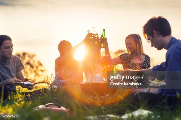freunde, toasten flaschen und ein picknick auf feld - barbecue stock-fotos und bilder