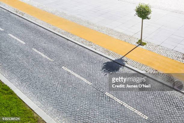 empty cobble road with individual tree shot from above. - adoquinado fotografías e imágenes de stock