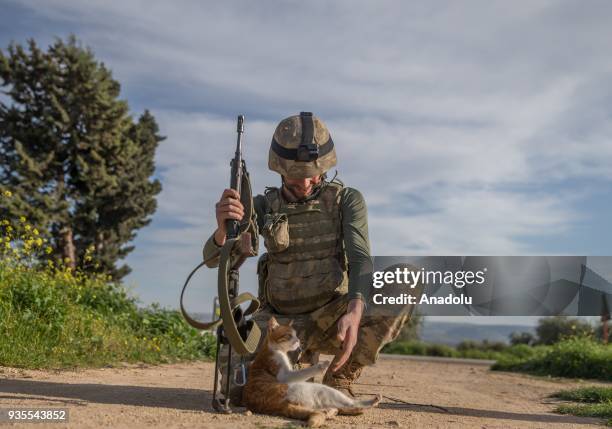 Soldier strokes a cat as he and other Turkish soldiers patrol at the streets as search operations continue in Afrin town center after Turkish Armed...