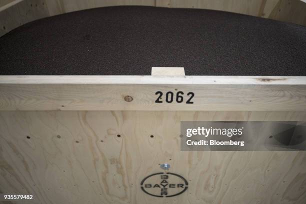 Rapeseed sits in a storage crate at the Bayer CropScience processing facility, operated by Bayer AG, in Monheim, Germany, on Wednesday, March 21,...