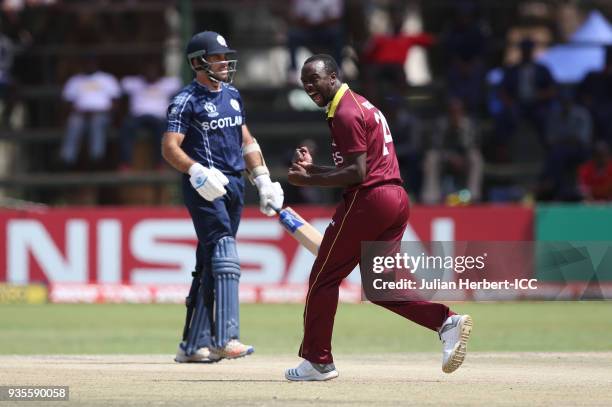 Kemar Roach of the West Indies celebrates the wicket of Kyle Coetzer of Scotland during The ICC Cricket World Cup Qualifier between the West Indies...