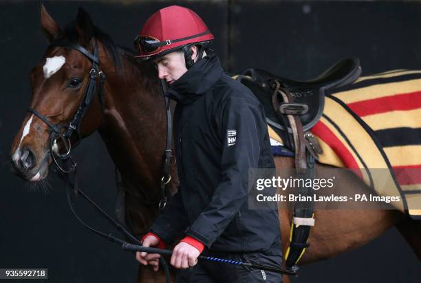 Indicated — Ballydoyle