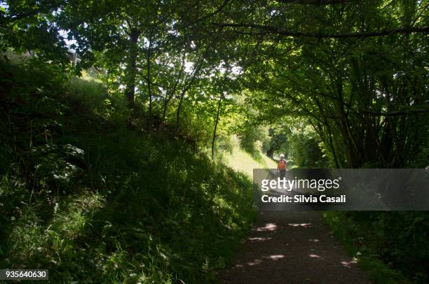 elderly woman walking amongst green trees - silvia casali stock pictures, royalty-free photos & images