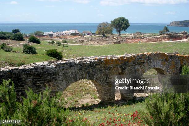 ancient aqueduct in the ruins of baelo claudia in tarifa - baelo claudia stock-fotos und bilder