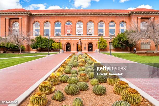 arizona-zustand-museum auf dem campus der university of arizona in tucson - university of arizona stock-fotos und bilder