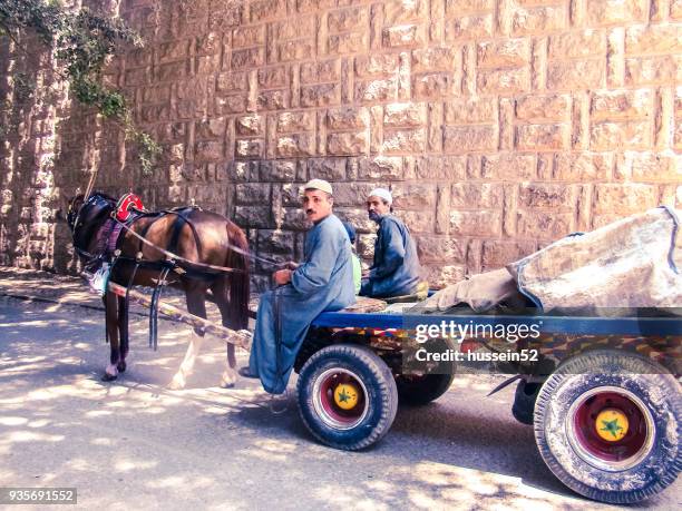 cart-horse - hussein52 stock pictures, royalty-free photos & images