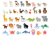 Cute animals collection: farm animals, wild animals, marina animals isolated on white background. Vector illustration design template