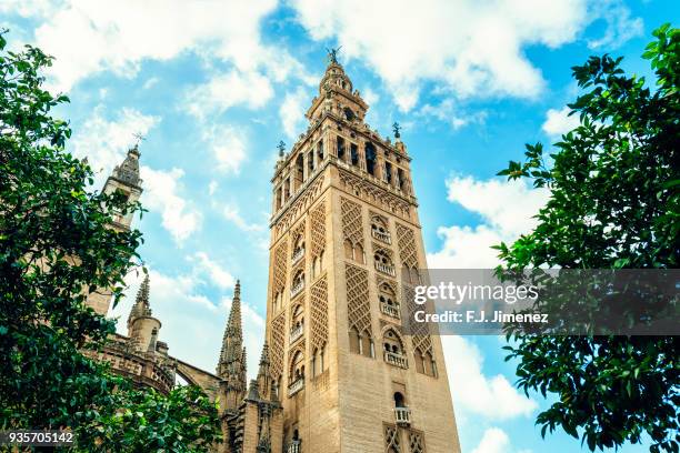 view of giralda cathedral in seville, spain - seville cathedral stockfoto's en -beelden