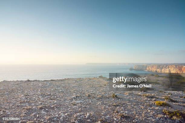 rocky plateau on top of cliff overlooking the sea - plateau ストックフォトと画像