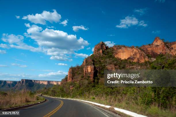 chapada dos guimarães, mato grosso, brazil. - chapada dos guimaraes fotografías e imágenes de stock