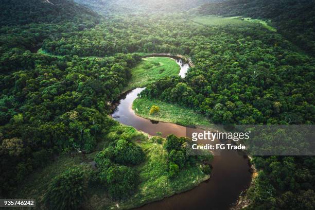 mata atlantica - atlantische regenwald in brasilien - overhead view stock-fotos und bilder