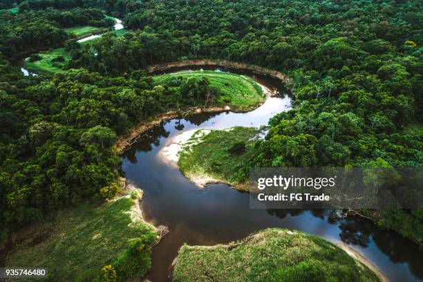 mata atlantica - atlantische regenwald in brasilien - mata atlantica stock-fotos und bilder