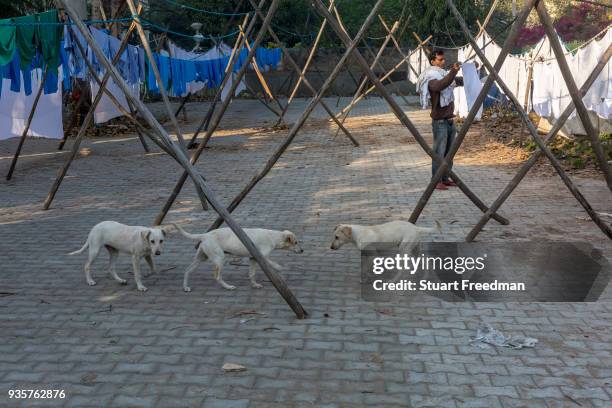 Dhobi wallahs or washermen, hang clothes and linen to dry at the Devi Prasad Sadan Dhobi Ghat in New Delhi, India. The ghat is home to around 64...