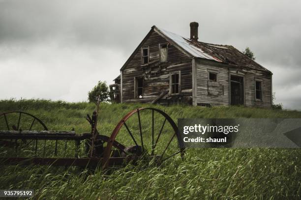 verloren herinneringen - the lost photographs of captain scott stockfoto's en -beelden