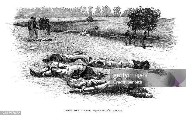 dead union army soldiers near mcpherson's woods gettysburg - civil war dead stock illustrations