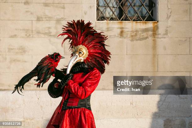 revelers in carnival costume, venice carnival (carnevale di venezia), venice, italy - carnevale venezia stockfoto's en -beelden
