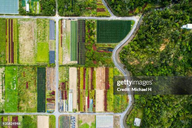 aerial view of agricultural field. - japanese flower arrangement stock pictures, royalty-free photos & images