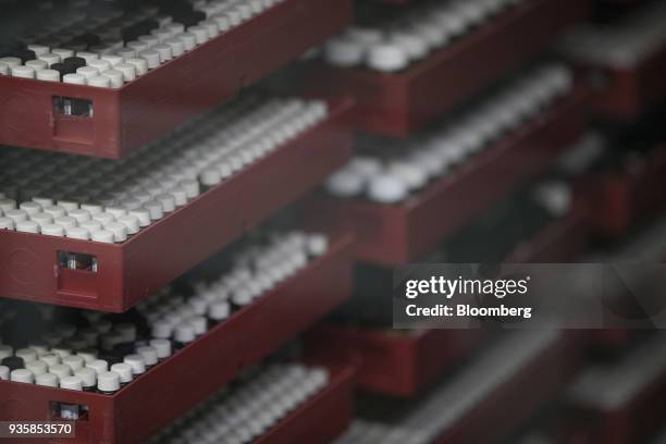 Trays of vials containing chemical research ingredients sit inside the substance library at the Bayer CropScience AG facility in Monheim, Germany, on...