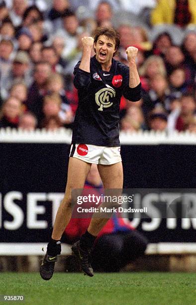 Matthew Lappin for Carlton celebrates after a goal is kicked during the round 18 AFL match played between the Essendon Bombers and the Carlton Blues...