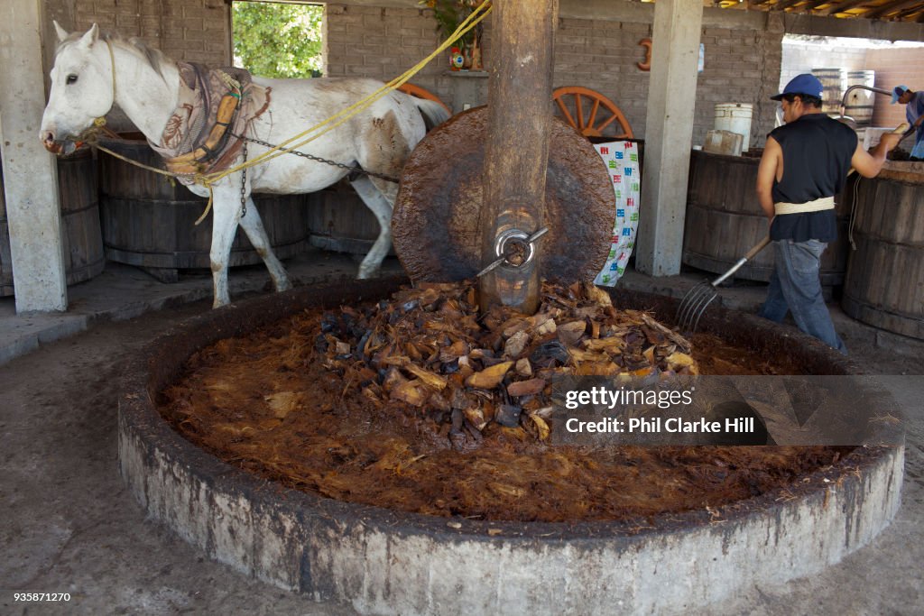 The agave is processed in a Palenque using a shorse and a round... News  Photo - Getty Images