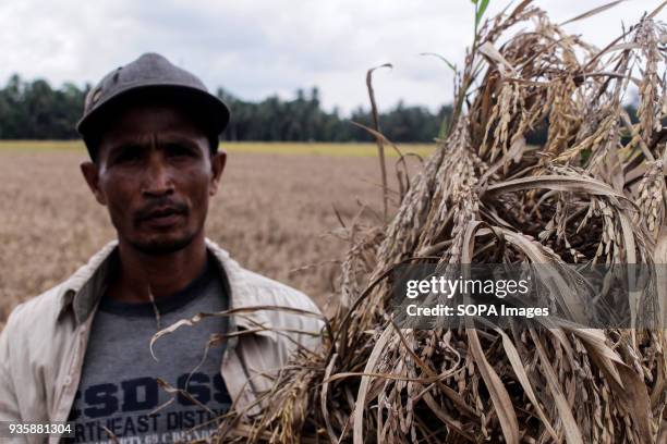 326 Pestilence Stock Photos, High-Res Pictures, and Images - Getty Images