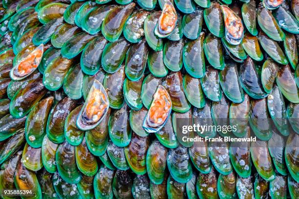 Thai Mussels Photos and Premium High Res Pictures - Getty Images