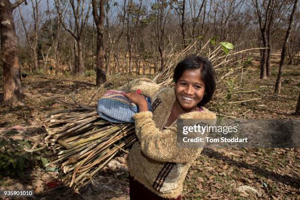 Rohingya girl collects firewood in a forest near the Kutupalong refugee camp on February 27, 2018 at Cox's Bazar, Bangladesh. Over 655,000 Rohingya...