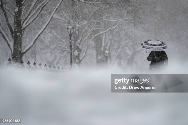 Woman carries an umbrella as she walks through Central Park during a snowstorm, March 21, 2018 in New York City. The fourth nor'easter in three weeks...