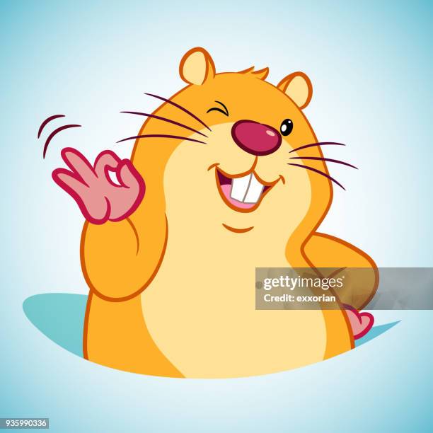 ok gesture groundhog cartoon character - rodent stock illustrations