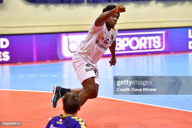 Yosdany Rios of Ivry celebrates a goal during the Lidl Starligue match between Massy and Ivry on March 21, 2018 in Massy, France.