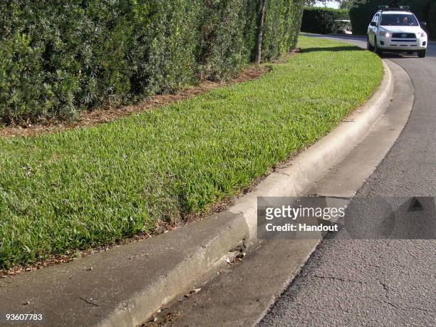 In this handout photo provided by The Florida Highway Patrol, the street where Tiger Woods crashed his SUV is seen on December 2, 2009 in Windermere,...