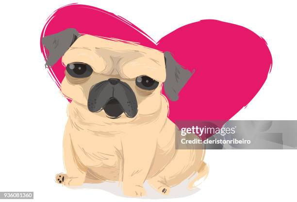 the pug (cachorro) - pug portrait stock illustrations