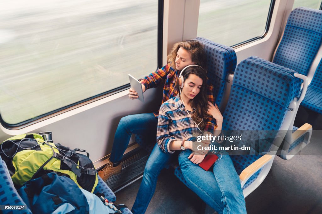 Relaxed couple traveling by train