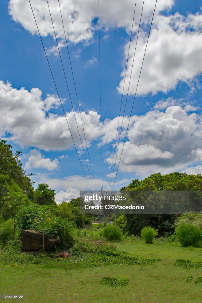 Power transmission lines crossing the green park under clouds and blue sky.