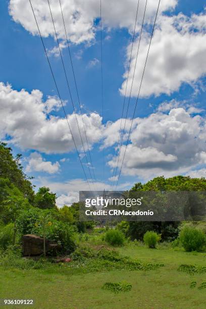 power transmission lines crossing the green park under clouds and blue sky. - crmacedonio imagens e fotografias de stock