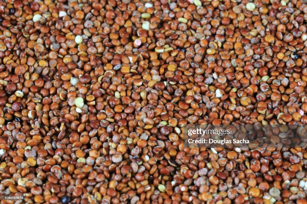 Full frame of red Quinoa superfood (Chenopodium quinoa)