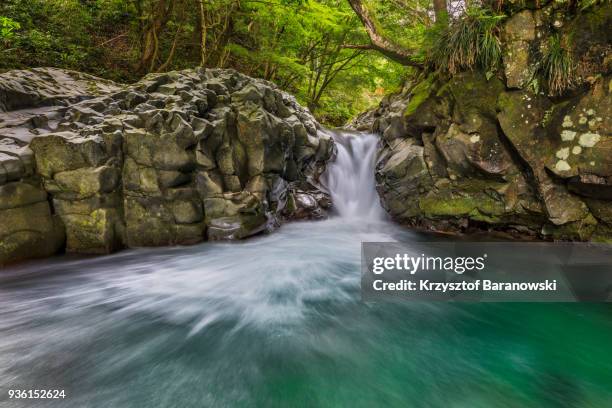kawazu nanadaru falls - prefettura di shizuoka foto e immagini stock