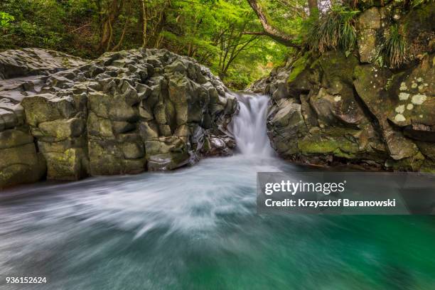 kawazu nanadaru falls - shizuoka prefecture stock pictures, royalty-free photos & images