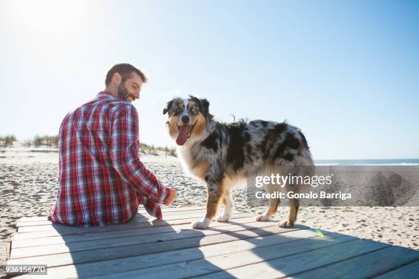 man sitting on beach boardwalk with dog - travel loyalty stock pictures, royalty-free photos & images