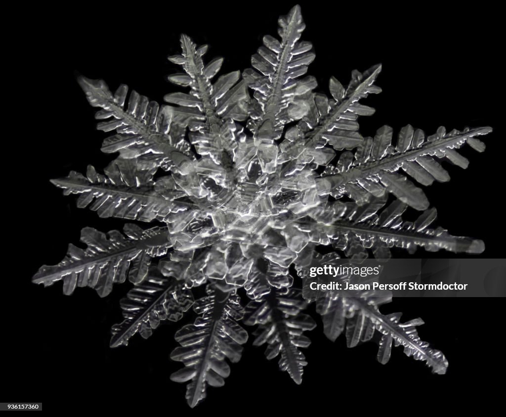 Snowflake Conjoined Two Snowflakes Formed Simultaneously From A Single Nucleus Resulting In ...