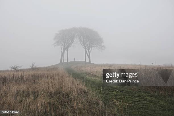 rural scene with trees in mist, houghton-le-spring, sunderland, uk - rural scene photos et images de collection