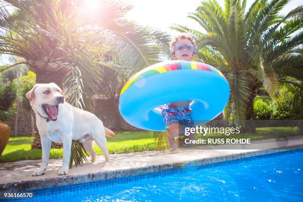 boy with inflatable ring on poolside with golden retriever, portrait - golden goggles 個照片及圖片檔