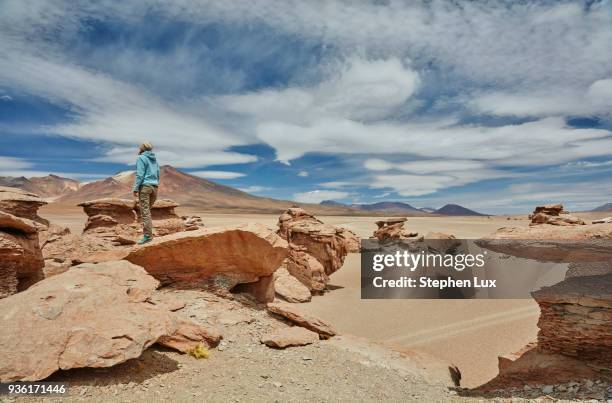 woman standing on rock, looking at view, villa alota, potosi, bolivia, south america - alota stock pictures, royalty-free photos & images