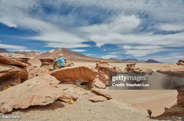 woman sitting on rock, looking at view, villa alota, potosi, bolivia, south america - alota stock pictures, royalty-free photos & images