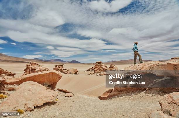 woman standing on rock, looking at view, villa alota, potosi, bolivia, south america - alota stock pictures, royalty-free photos & images