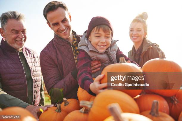 boy with parents and grandfather selecting pumpkins in pumpkin patch field - pumpkin patch stock pictures, royalty-free photos & images
