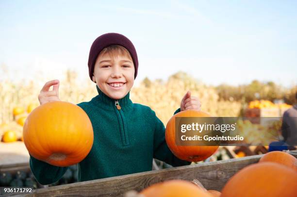 boy holding harvested pumpkins in field - 11-13 2017 stock pictures, royalty-free photos & images