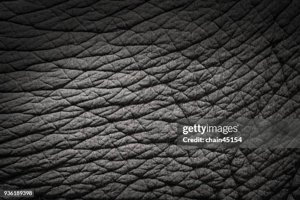 background and texture of elephant skin. - animal skin fotografías e imágenes de stock